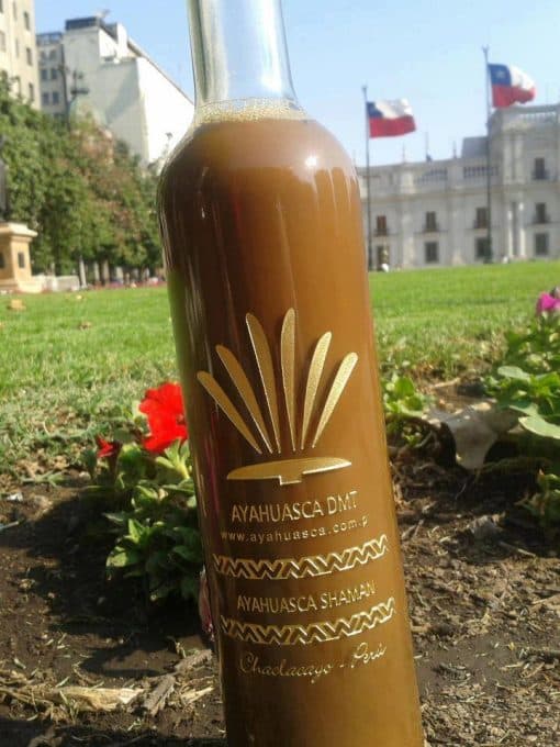 buy ayahuaska online
